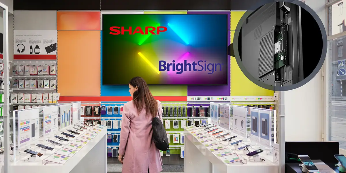 sharp sdm sharp sdm